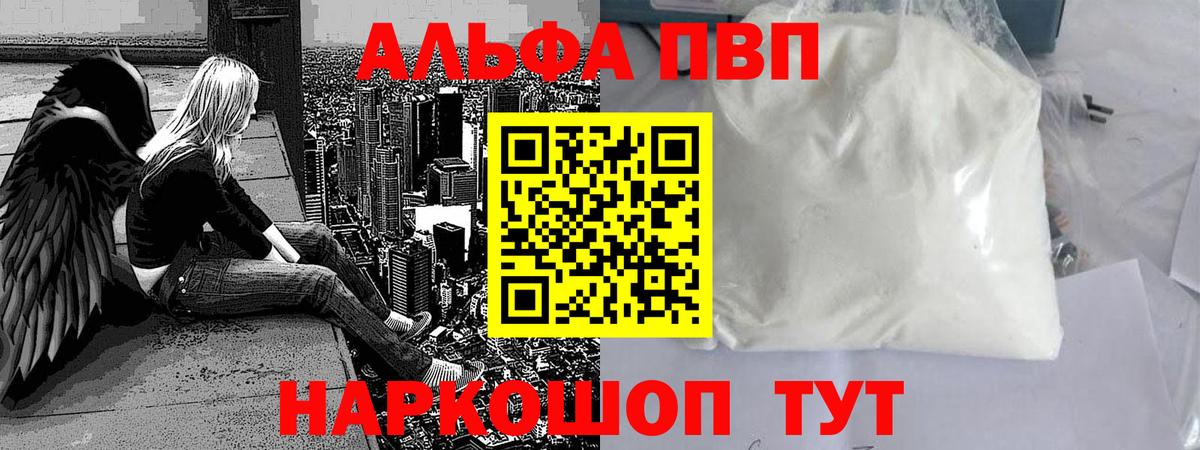 Альфа ПВП СК Губкин