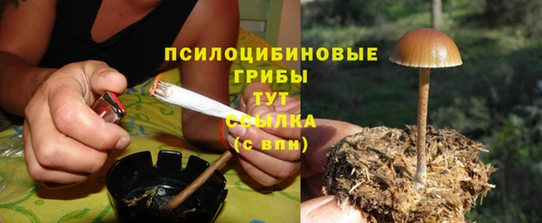 прущий лед Долгопрудный