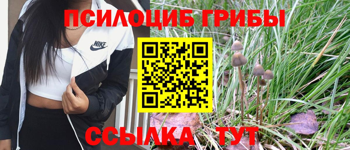 Псилоцибиновые грибы MAGIC MUSHROOMS Губкин