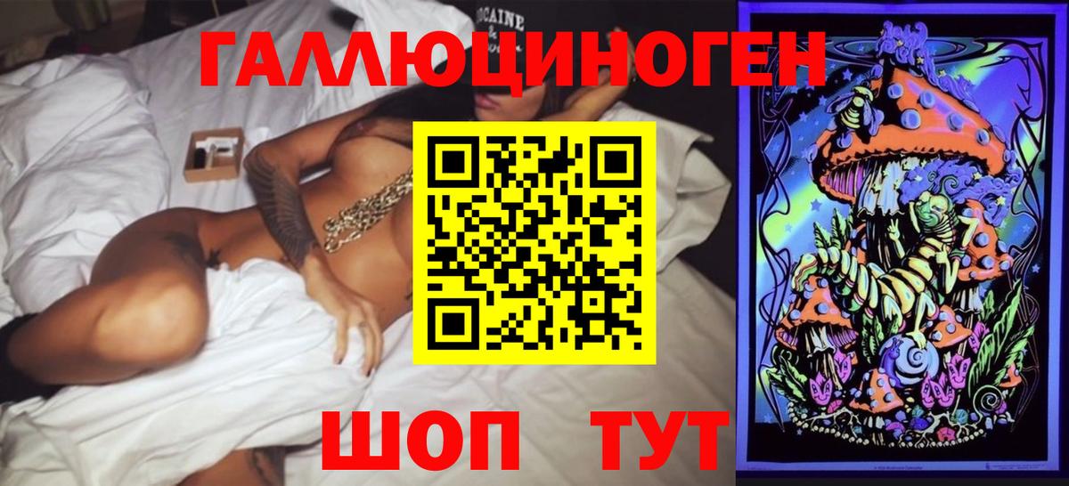 Губкин  где найти наркотики  Вход с VPN  Псилоцибиновые грибы мухоморы 