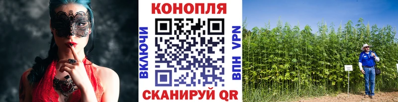 продажа наркотиков  Губкин  Конопля THC 21% 